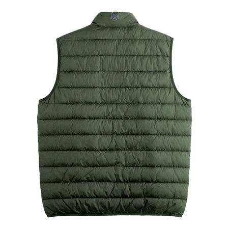 Spruce Green